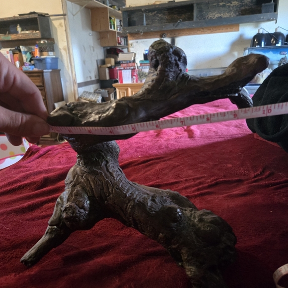 Lizard Habitat Accessory - Picture 3 of 4